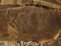 11 Moab Area Rock Art VI