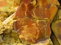 legend-rock-petroglyph