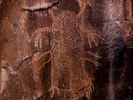 Dinwoody_Creek-28