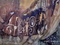 mckee-springs-petroglyphs-dino-ut-19-copy
