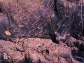 central Cumberland Plateau