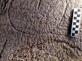 Mud Glyph Cave in the Tennessee River Valley-