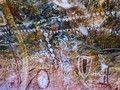 Carlsbad Caverns National Park NEW MEXICO rock art