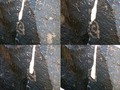 Puerco Pueblo Solar Marker Montage