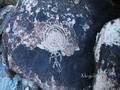 Pahranagat Range -невада