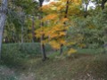 great_mound4