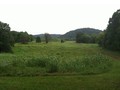 img_0800