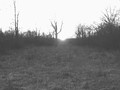 New castle-Indiana-Adena-Hopewell-mounds-alignments-solar-Henry county-History