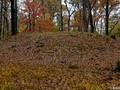 images (1)