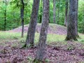 shiloh-indian-mound