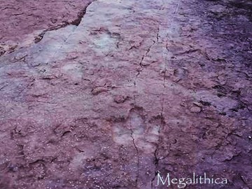 Следы динозавров долины Уорнера
