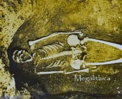 1 - San Leandro, California Coroner Declares Ancient Skeleton was 8 Feet Tall.