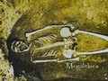 1 - San Leandro, California Coroner Declares Ancient Skeleton was 8 Feet Tall.