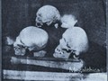 Бивер-Лейк, Пещеры Озарк, Арканзас-