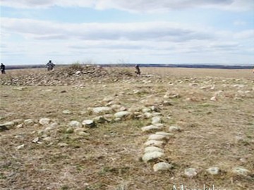 Медицинское колесо Рамси