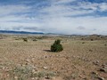 Tipi_rings_in_the_Pryor_Mountains