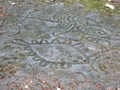 petroglyph-provincial