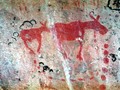 Darky Lake Moose pictographs, Ontario