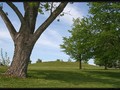 Taber Hill also spelled Tabor Hill is an Iroquois burial mound in Toronto, Ontario. It is located near Lawrence Avenue and Bellamy Road in Scarborough
