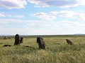 1224226932_img_0834