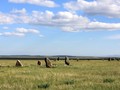 1224226932_img_0852