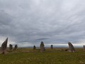 Камызякская Степь