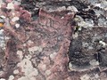 Скифский петроглиф из урочища Чуй-Оозы, Онгудайский р-н