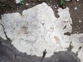 Скифский петроглиф из урочища Чуй-Оозы,