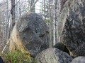 тасей5-9