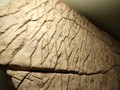 s94367100