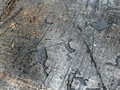 karelia_petroglif_017