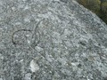 1278411604