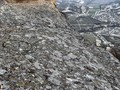 big_52830195191