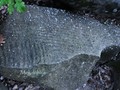 7-