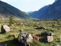 курганы и оросит системы Чулышманской долины