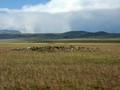 kurgany_justyd2
