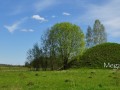 Курган_Змеиныи?_2