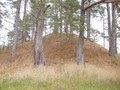 Курган возле озера Кузино