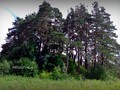 сопка-жальник в Хвои?нинском ра-не