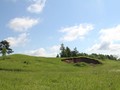 по дороге в деревню Негодицы.