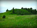 Д. Секирница. Городище.