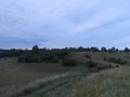 89
