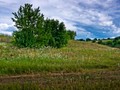 Волотов курган Липецкая