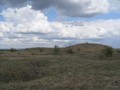 карьерныи?