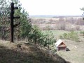 ошка панда