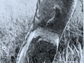 52