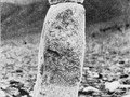 102
