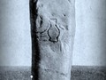 61