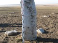 z_73176424