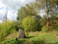 mitino_orehovo-zuevo